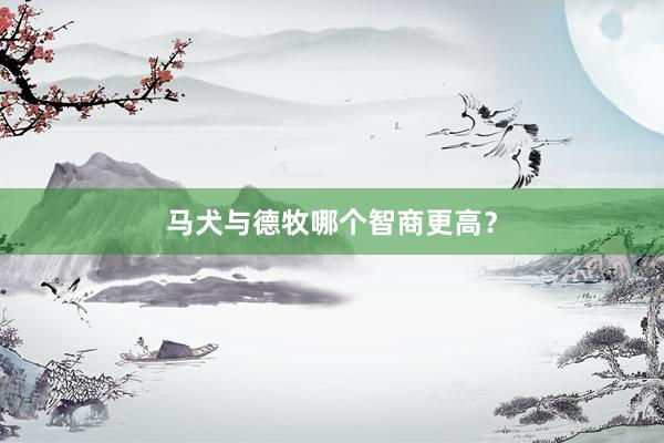 马犬与德牧哪个智商更高？